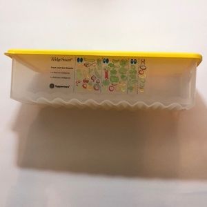 NWOT Tupperware FridgeSmart Medium/Long